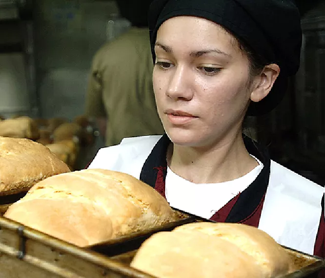 bakeryplus manage recipe software system bakeryplus manage recipe software system